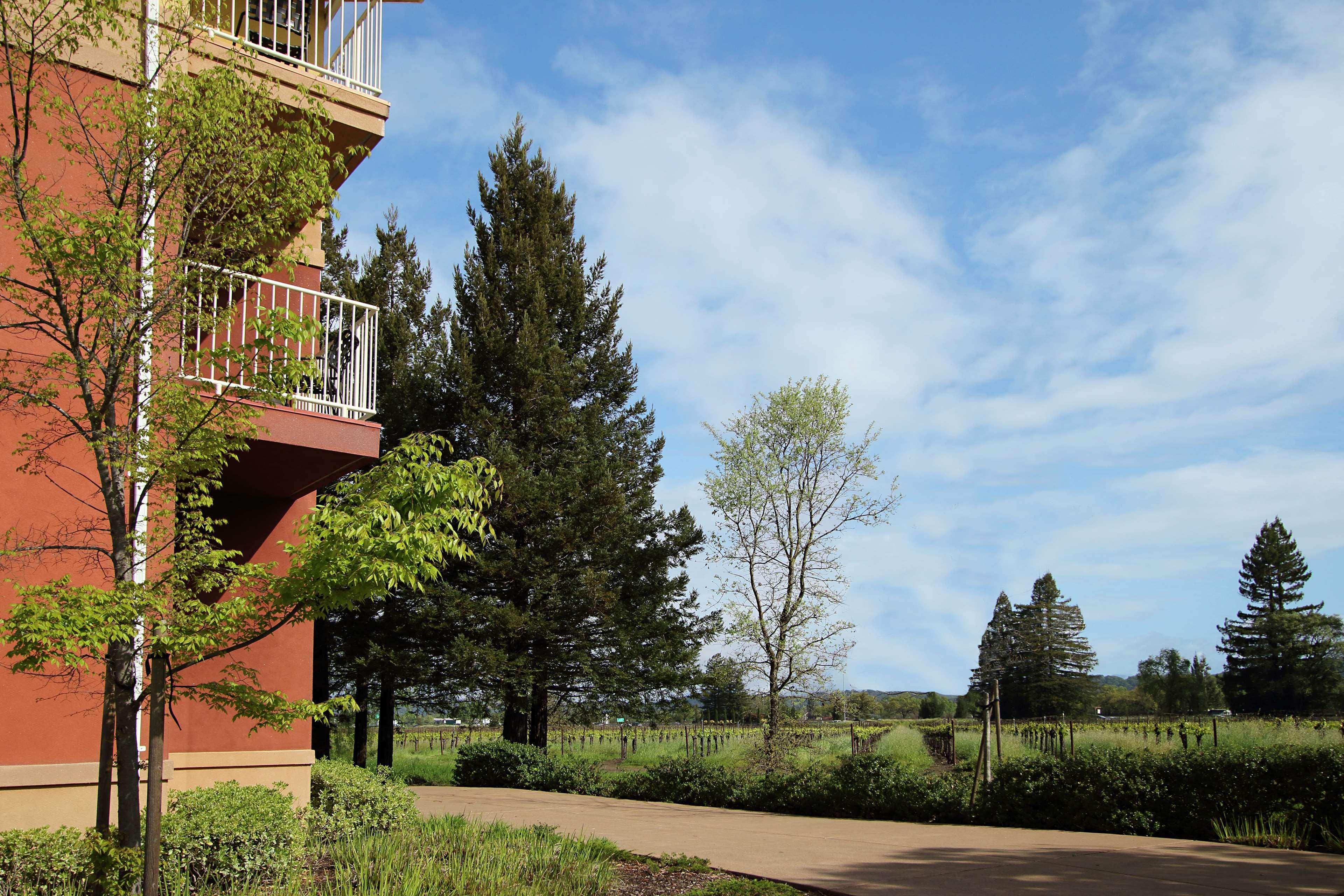 Hilton Garden Inn Sonoma County Airport Santa Rosa Eksteriør bilde